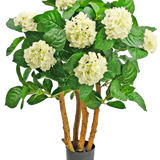 De Kunstplant Hortensia UV 85 cm wit is een kunstplant in pot met stevige bruine stelen, grote groene bladeren en trossen witte hortensia-achtige bloemen aan de bovenkant.