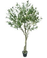 De Kunst Olijfboom 200 cm is een hoge kunstolijfboom in pot met een slanke stam en veel groene bladertakken, sommige met kleine donkere olijven, geïsoleerd afgebeeld op een witte achtergrond.