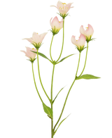 Kunstbloem Aster 60 cm roze: delicate lichtroze bloemblaadjes met een geel hart, groene stelen en bladeren. De levensechte kunstbloemen staan op een effen witte achtergrond.