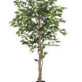 De Kunstplant Ficus 180 cm brandvertragend heeft gedraaide bruine stammen en weelderige groene bladeren, in een kleine zwarte plantenbak tegen een witte achtergrond - een elegante, onderhoudsvrije plant voor elk interieur.