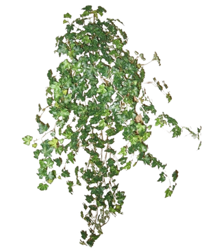 De Kunst Klimop Deluxe Groen 90cm is een cluster van dichte groene klimopranken die naar beneden en naar buiten lopen, geïsoleerd op een effen witte achtergrond.