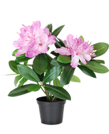De Kunstplant Rhododendron 34 cm heeft glanzend groene bladeren en trossen lichtroze bloemen in een kleine zwarte plastic pot, tegen een witte achtergrond.