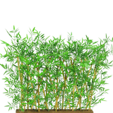 Het Kunstplant Bamboescherm UV 70x120 cm heeft levensechte groene bladeren en natuurlijke bamboestengels in een rechthoekige houten basis, perfect als decoratief scherm.