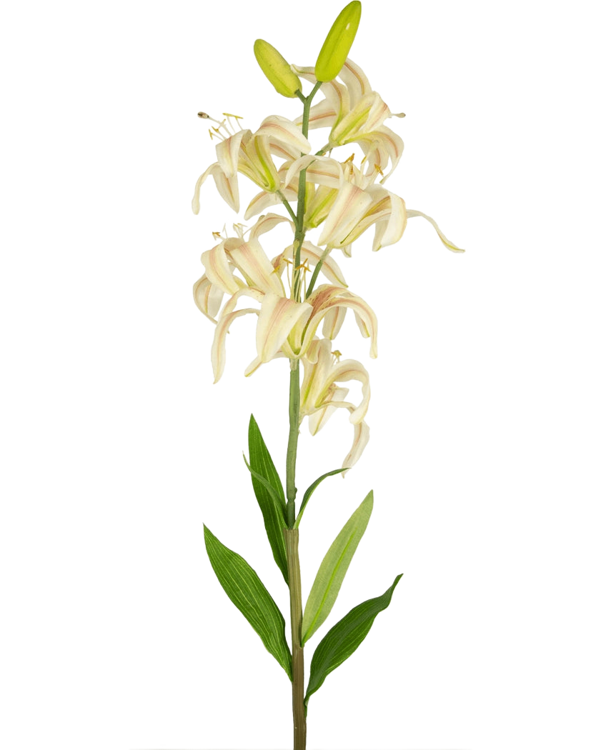 Een enkele hoge Kunstbloem Martagon Lelie 78 cm roze met roze leliebloemen en groene bladeren tegen een effen witte achtergrond; sommige bloemen zijn open terwijl twee knoppen aan de bovenkant gesloten blijven.