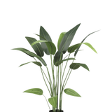De Kunstplant Heliconia 110 cm, met lange stelen en brede groene bladeren, is ideaal voor kleine ruimtes inrichting of als kunstplant badkamer accent, mooi tegen een effen witte achtergrond.