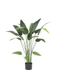 Plante artificielle Héliconia 110 cm