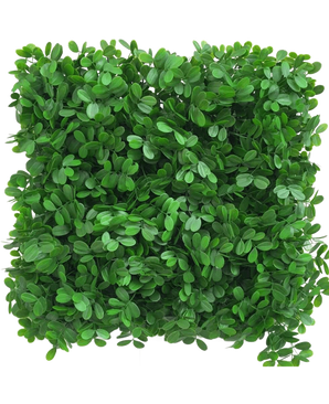 Een Kunsthaag Schefflera UV-paneel van 50x50 cm met dichte kunstgroene bladeren vormt een weelderige, haagachtige plantenwand, van bovenaf gezien tegen een witte achtergrond.