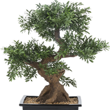 Het Kunst bonsai boompje 70 cm in pot heeft dicht groen gebladerte en een dikke, gedraaide stam, in een rechthoekige zwarte pot gevuld met kiezels tegen een witte achtergrond.