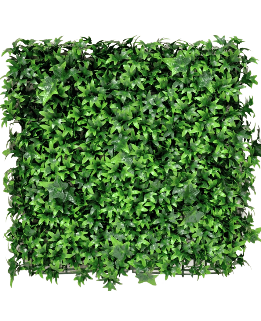 De Kunsthaag Klimop 50x50 cm UV is een vierkant paneel dicht bedekt met levendige groene kunstmatige klimopbladeren, die een weelderige, natuurlijke uitstraling geven tegen elke effen achtergrond.