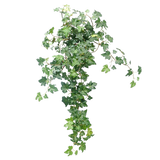 De Kunst Klimop Deluxe Groen 60cm is een weelderige, kunstmatige klimopplant met trapsgewijze groene bladeren tegen een effen witte achtergrond.
