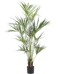 Plante artificielle Kentia Palmier 180 cm