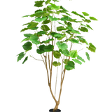 De Kunstplant Ficus 180 cm is een hoge kamerplant in pot met meerdere slanke bruine stengels en grote groene bladeren, afgebeeld tegen een effen witte achtergrond.