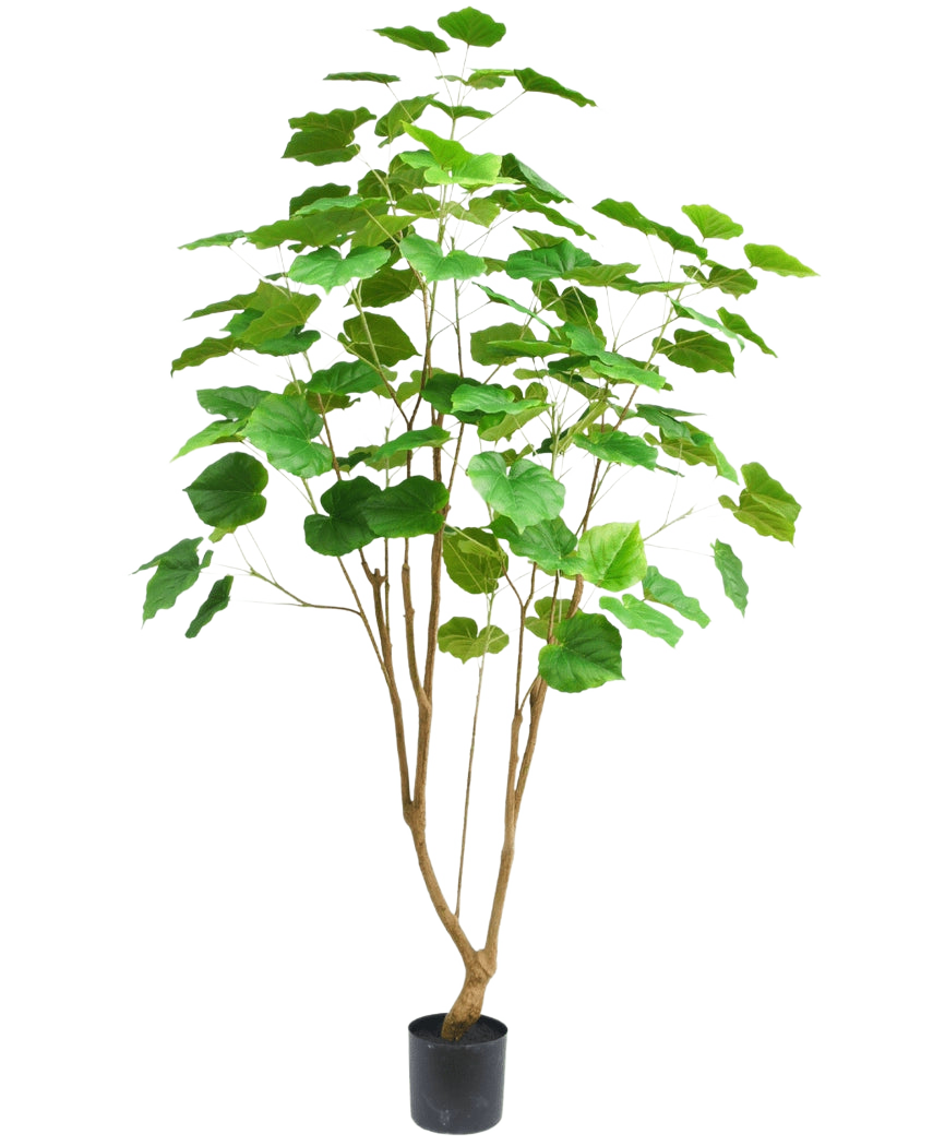 De Kunstplant Ficus 180 cm is een hoge kamerplant in pot met meerdere slanke bruine stengels en grote groene bladeren, afgebeeld tegen een effen witte achtergrond.