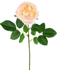 Rosier de jardin artificiel 