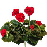 Een levendige tros Kunst Geranium van 40 cm met ronde groene bladeren op meerdere stelen, tegen een effen witte achtergrond.