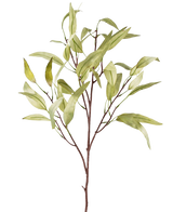 Een Kunsttak Eucalyptus Niphophila 108 cm groen met slanke, langwerpige groene bladeren en dunne bruine stengels, geïsoleerd op een witte achtergrond.