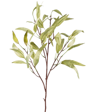 Een Kunsttak Eucalyptus Niphophila 108 cm groen met slanke, langwerpige groene bladeren en dunne bruine stengels, geïsoleerd op een witte achtergrond.