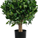 De Kunstplant Laurier UV d65 cm is een kleine kunstboom met een dikke stam en dichte, glanzend groene bladeren in een zwarte plastic pot tegen een effen witte achtergrond.
