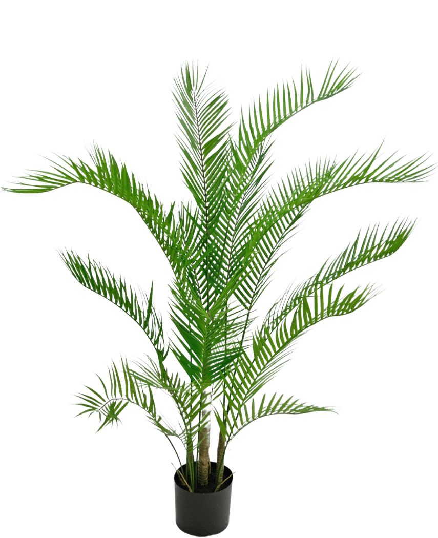 De Kunstplant Chamaedorea 120 cm is een kunstpalm met lange, slanke groene bladeren in een zwarte ronde pot, tegen een effen witte achtergrond.
