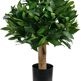 De Kunstplant Laurier UV d30 cm is een compacte kunstboom met dichte groene bladeren en een dikke bruine stam, in een eenvoudige zwarte pot, tegen een effen witte achtergrond.