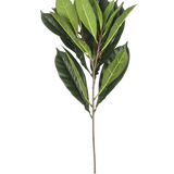 Het Kunstblad Cyathistipula 63 cm brandvertragend heeft een enkele tak met meerdere langwerpige groene bladeren in verschillende tinten op een slanke bruine stengel, tegen een witte achtergrond.