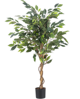 De Kunstplant Ficus Groen 120 cm heeft groene bladeren en gedraaide stelen in een kleine zwarte pot, tegen een witte achtergrond.