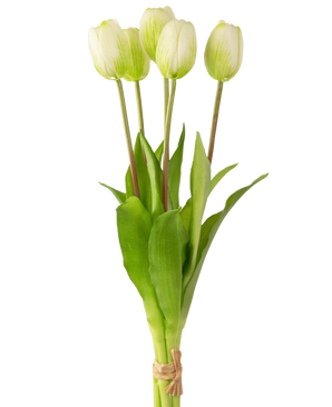 Het Kunsttulpenboeket Real Touch Groen/wit 40cm heeft een klein boeket van vijf witte tulpen met groene punten en lange groene bladeren, gebonden met touw en uitgestald tegen een witte achtergrond.