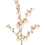 De Kunsttak Orchidee 80 cm roze heeft een enkele steel van lichtroze kunstorchideeën met meerdere bloesems en kleine knoppen op dunne groene takken, tegen een eenvoudige witte achtergrond.