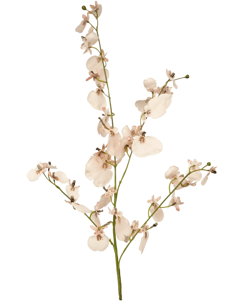 De Kunsttak Orchidee 80 cm roze heeft een enkele steel van lichtroze kunstorchideeën met meerdere bloesems en kleine knoppen op dunne groene takken, tegen een eenvoudige witte achtergrond.