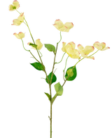 Het Kunstkornoelje Real Touch Lichtgeel 74cm heeft een enkele steel met meerdere lichtgele kornoeljebloemen, roze getipte bloemblaadjes en groene bladeren, allemaal prachtig weergegeven tegen een witte achtergrond.