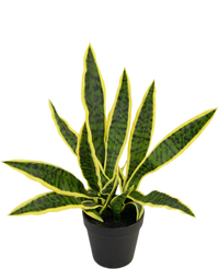 Kunstplant Sansevieria Laurentii 44 cm in sierpot