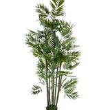 De Kunstplant Parlour 180 cm is een hoge kunstpalm met meerdere slanke stelen en levendig groene bladeren in een kleine zwarte pot, tegen een witte achtergrond.