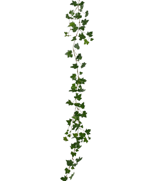 De Kunst hangplant Klimop slinger deluxe 180 cm groen is een lange, groene klimop-slinger met puntige bladeren die verticaal hangt tegen een effen witte achtergrond.