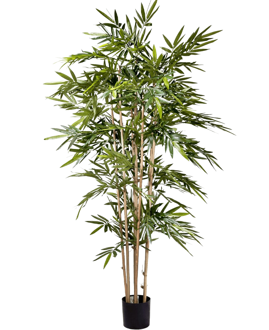De Kunstplant Bamboe 180 cm heeft slanke lichtbruine stengels en overvloedige lange groene bladeren in een kleine zwarte pot, tegen een effen witte achtergrond.