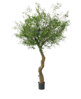 De Kunst Olijfboom 270 cm zonder olijven, met een gedraaide stam en weelderig groen gebladerte, staat in stijlvolle sierpotten tegen een effen witte achtergrond.