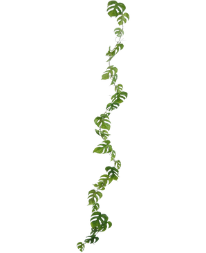 De Kunst slingerplant Monstera 182 cm is een lange kunstliaan met groene, natuurlijk gevormde bladeren, die verticaal hangt tegen een effen lichte achtergrond.