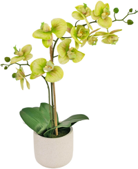 Orchidée artificielle Real Touch 30 cm verte