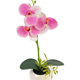 De Kunst Orchidee 28 cm wit/roze in pot heeft een groene orchideeënstengel met levendige roze en witte bloemen en groene bladeren, allemaal gerangschikt in een witte pot van keramiek.