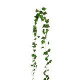 De Kunst Klimop Slinger 180 cm groen heeft puntige groene klimopbladeren die in twee strengen tegen een effen witte achtergrond hangen.