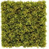 De Kunsthaag Nordic Mos 50x50 cm UV is een vierkant paneel dat dicht bedekt is met weelderig groen mos op een witte achtergrond, waardoor een getextureerde, natuurlijke look ontstaat die perfect is voor chique interieurs.