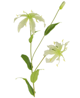 De Kunstbloem Gloriosa 81 cm wit heeft een groene stengel met langwerpige bladeren, twee lichtgroen-witte bloemen met gebogen bloemblaadjes en gele meeldraden, plus een gesloten knop bovenaan.