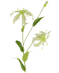 Fleur artificielle Gloriosa 81 cm blanche