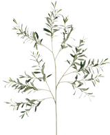 De Kunst Olijftak 109 cm heeft dunne stelen en langwerpige groene bladeren, elegant weergegeven tegen een witte achtergrond.