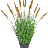 De Kunst Grasplant Struisriet 100 cm brandvertragend staat in een zwarte pot met hoge, grasachtige bladeren en lange bruine pluimen, die groene decoratie toevoegen tegen een effen witte achtergrond.