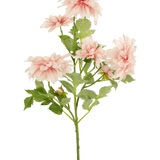 De Kunstbloem Dahlia 68 cm roze heeft een enkele groene steel met verschillende lichtroze dahlia bloemen en groene bladeren, tegen een effen witte achtergrond.