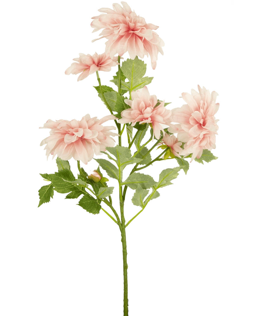 De Kunstbloem Dahlia 68 cm roze heeft een enkele groene steel met verschillende lichtroze dahlia bloemen en groene bladeren, tegen een effen witte achtergrond.
