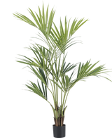 De Kunstplant Kentia Palm 150 cm heeft lange, slanke groene bladeren en meerdere stelen in een kleine zwarte pot, perfect als decoratieve plant voor binnen tegen een witte achtergrond.