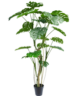 De Kunstplant Monstera 210 cm is een hoge potplant met meerdere groene gespleten bladeren en meerdere lange stelen, tegen een witte achtergrond.