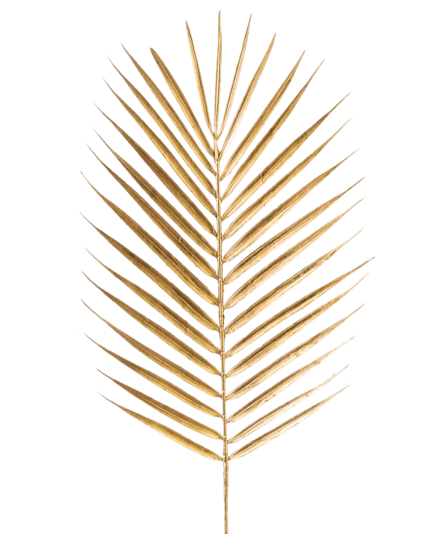 Het Kunsttak Varen 64 cm goud heeft een enkel gouden palmblad met lange, slanke bladeren op een effen witte achtergrond.