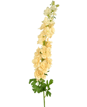 Een enkele Kunstbloem Delphinium 105 cm crème met meerdere lichtgele bloemen en groene bladeren, tegen een effen witte achtergrond.